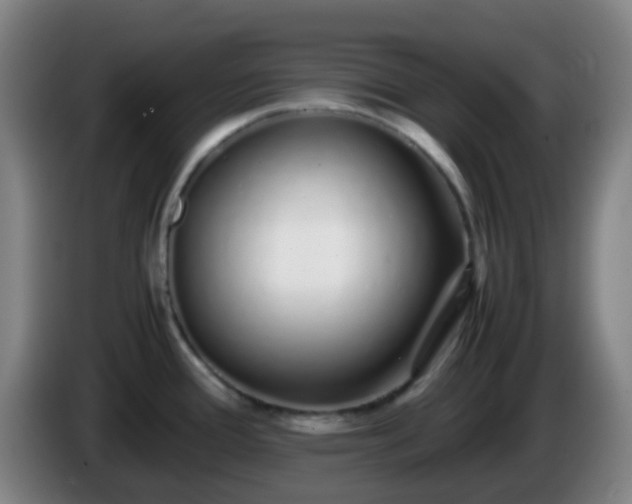 X0000086111388200703301227