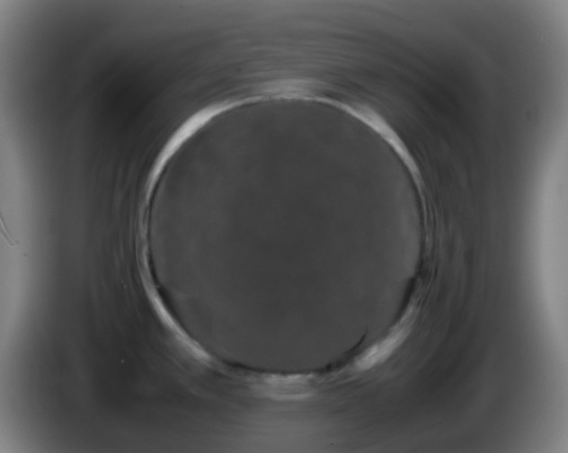 X0000086111389200703301227