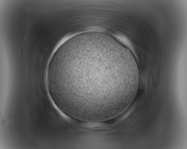 X0000086111391200703301227