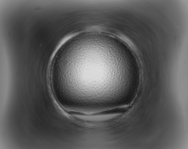 X0000086111392200703301227