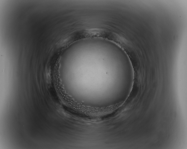X0000086111394200703301226