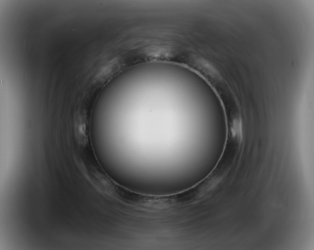 X0000086111396200703301226