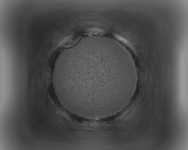 X0000086111399200703301227