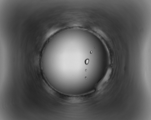 X0000086111404200703301227