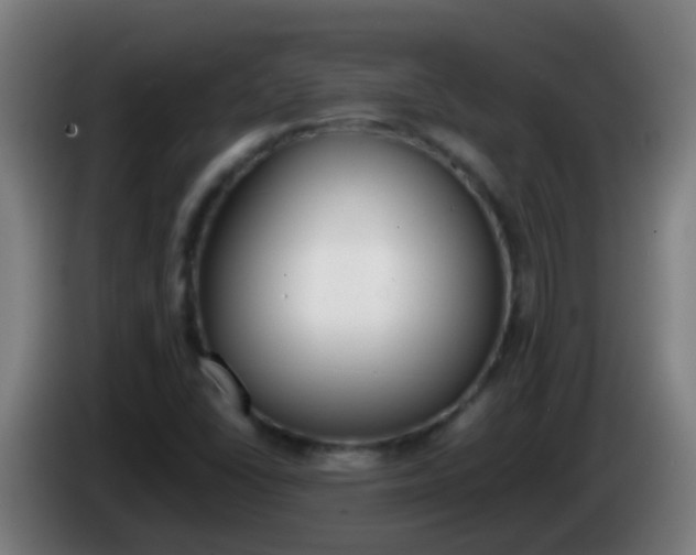 X0000086111406200703301227