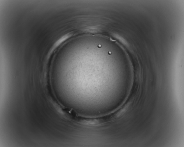 X0000086111410200703301227