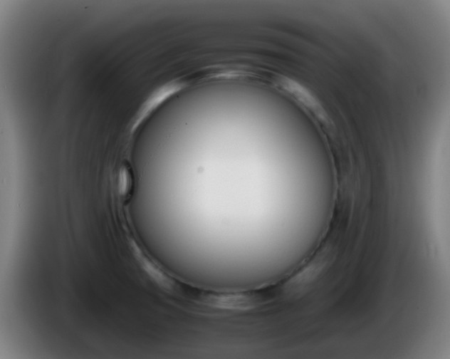 X0000086111425200703301227