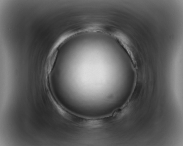 X0000086111430200703301227