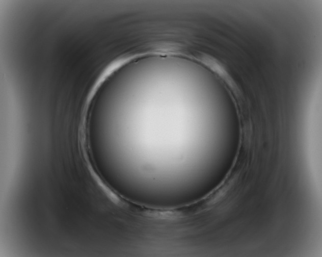 X0000086111432200703301227