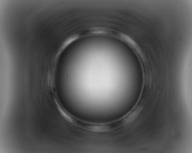 X0000086111433200703301227