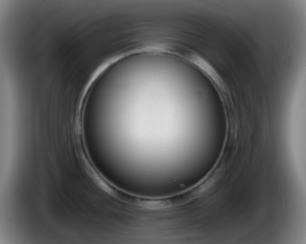 X0000086111436200703301227