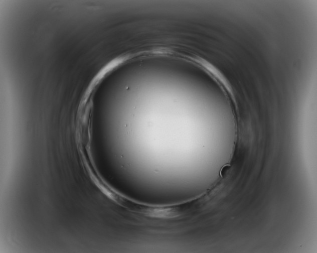 X0000086111437200703301227