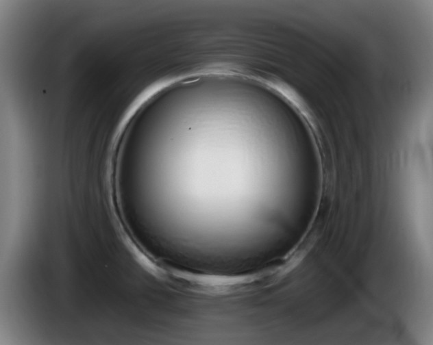 X0000086111438200703301227