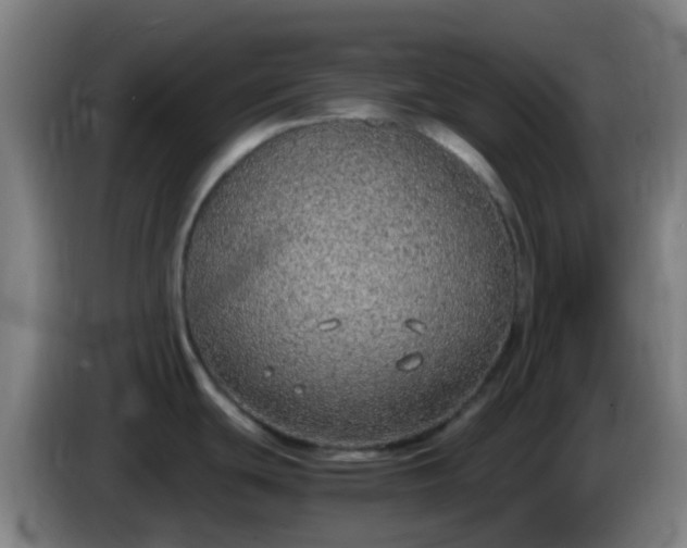 X0000086111439200703301227