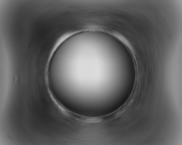 X0000086111440200703301227