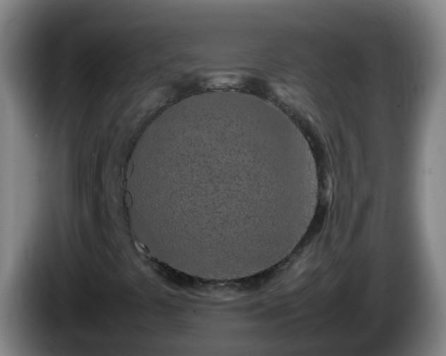 X0000086111441200703301226