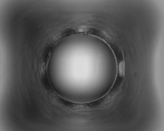 X0000086111443200703301226
