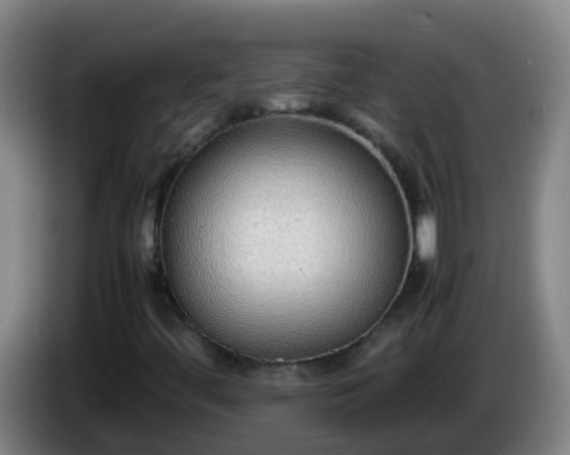 X0000086111444200703301226