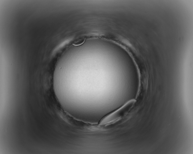 X0000086111448200703301226