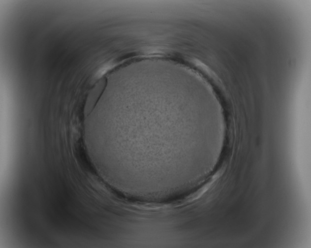 X0000086111449200703301226