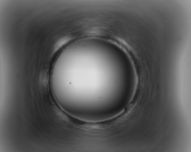 X0000086111450200703301226