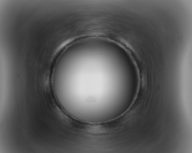 X0000086111452200703301226