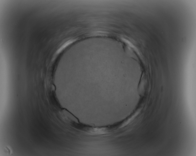 X0000086111453200703301226