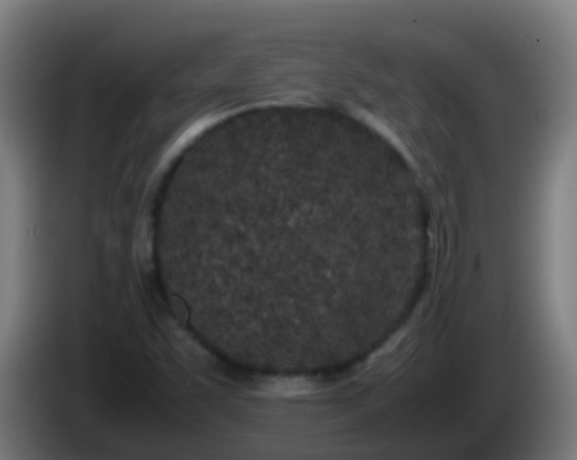 X0000086111455200703301226