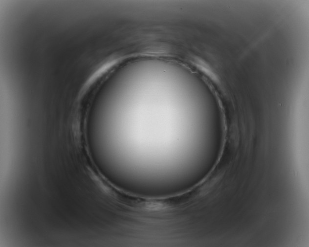 X0000086111456200703301226