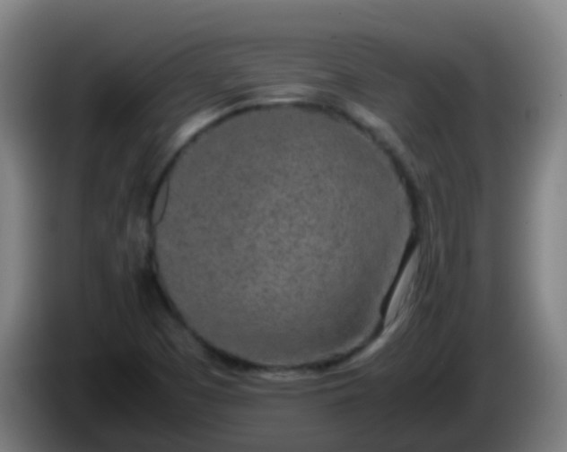 X0000086111457200703301226