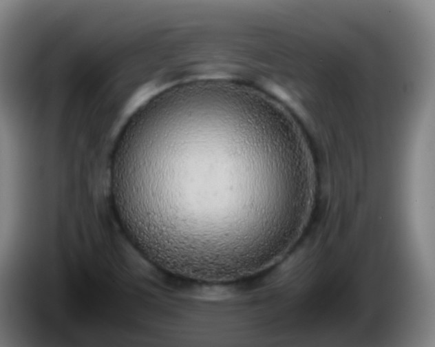 X0000086111459200703301226