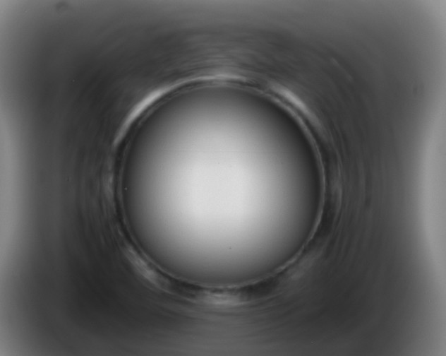 X0000086111460200703301226