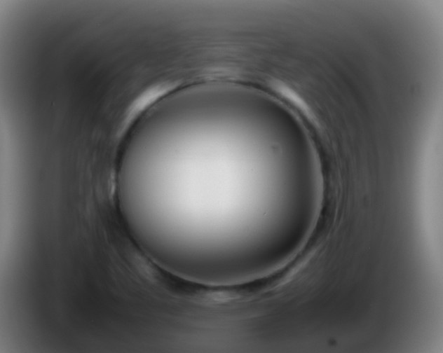 X0000086111461200703301226