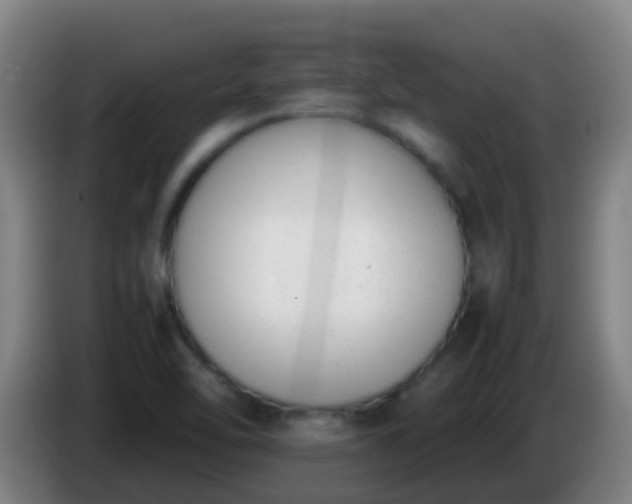 X0000086111462200703301226