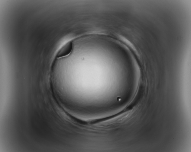 X0000086111463200703301226