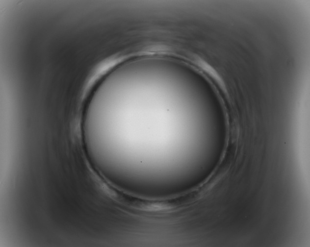 X0000086111464200703301226