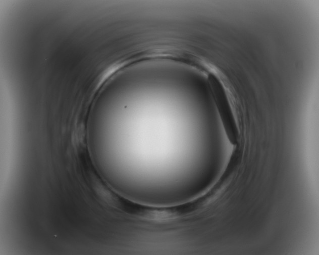 X0000086111465200703301226