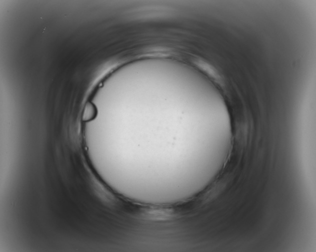 X0000086111466200703301226