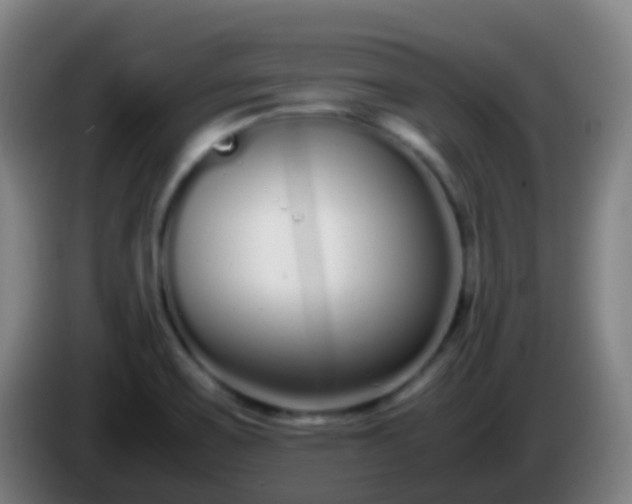 X0000086111467200703301226