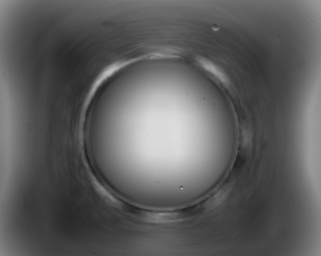 X0000086111471200703301226