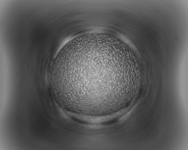 X0000086111473200703301226