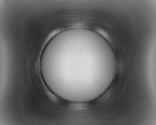 X0000086111474200703301226