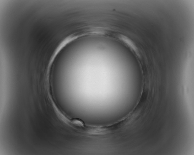 X0000086111475200703301226