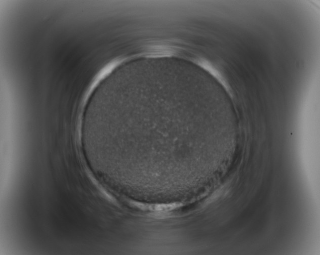 X0000086111477200703301226