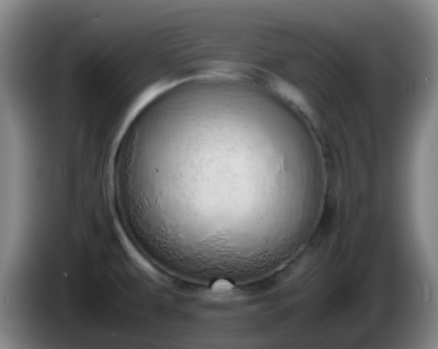 X0000086111479200703301226