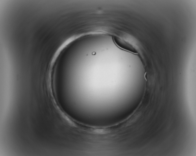 X0000086111480200703301226
