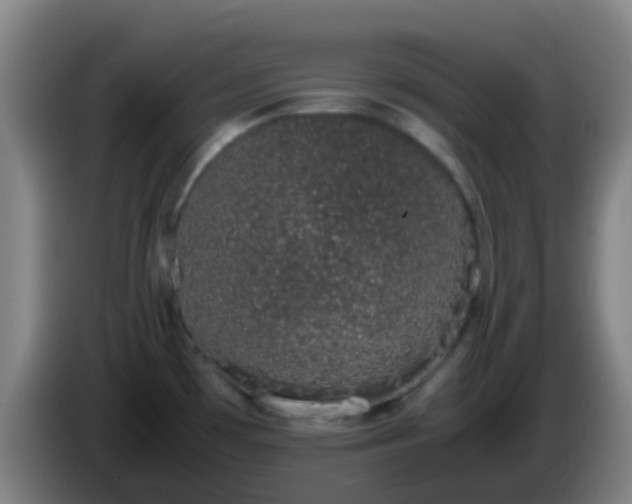 X0000086111481200703301226