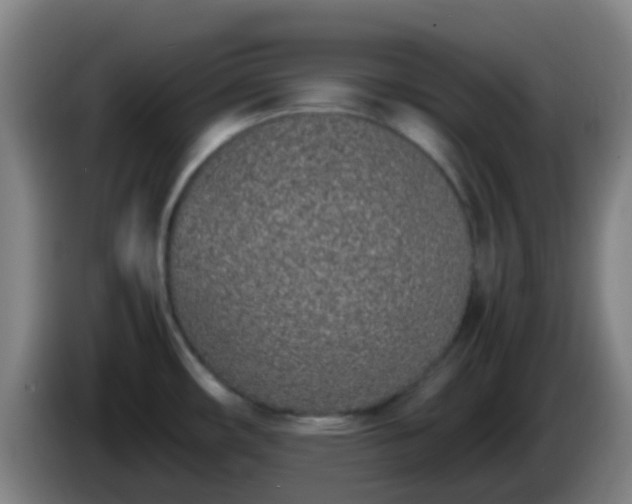 X0000086111482200703301226