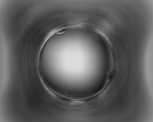 X0000086111483200703301226