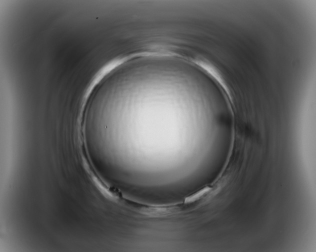 X0000086111485200703301226